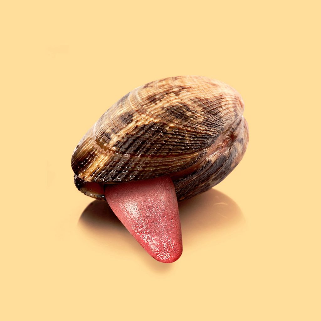 this or that series Randy Lewis Creative